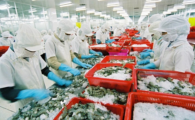 Vietnamese seafood poised to expand market share in Japan
